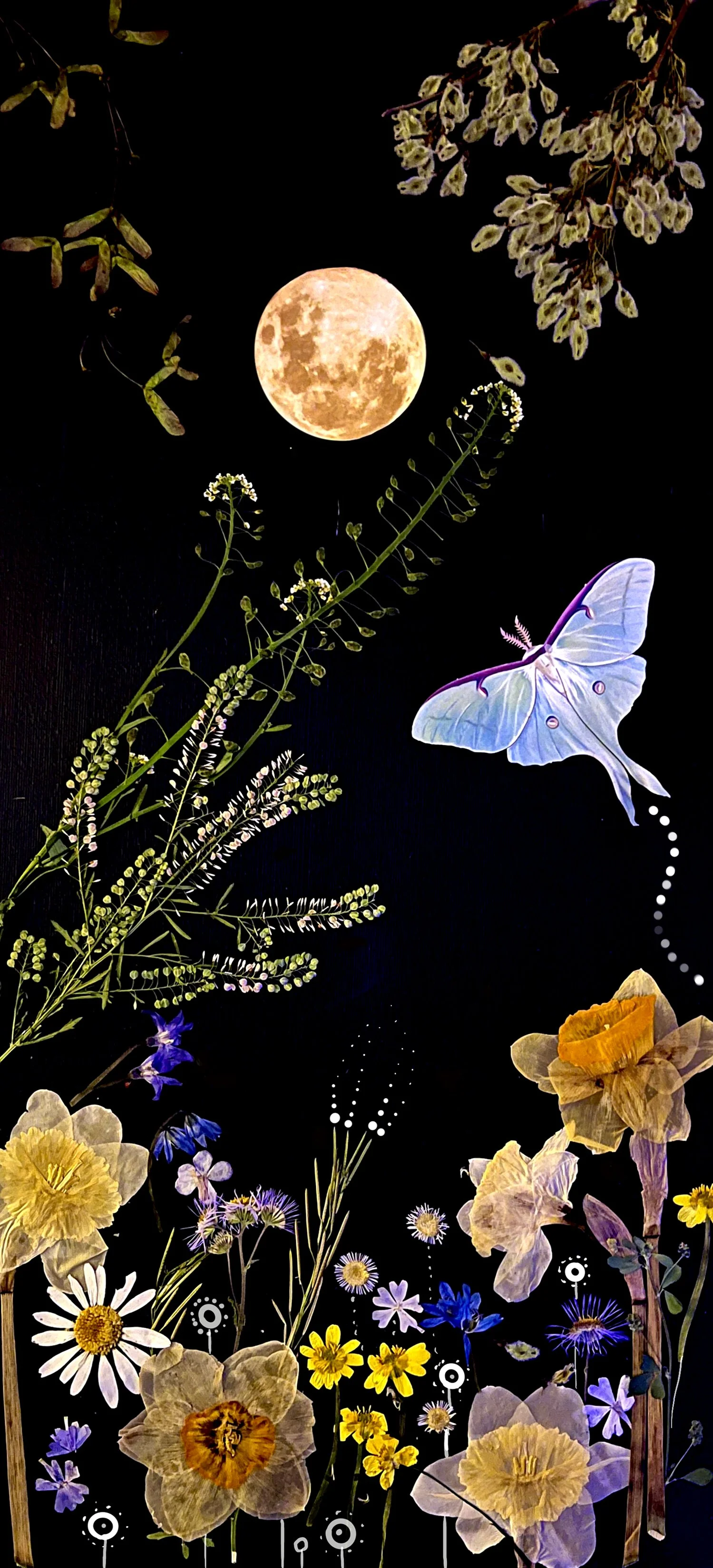 Luna Moth Welcome — Manda Marble